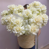 РОЗА ФРАНЦУЗСКАЯ x ГОРТЕНЗИЯ